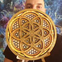Load image into Gallery viewer, Seed Of Life Light Sculpture
