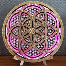 Load image into Gallery viewer, Seed Of Life Light Sculpture
